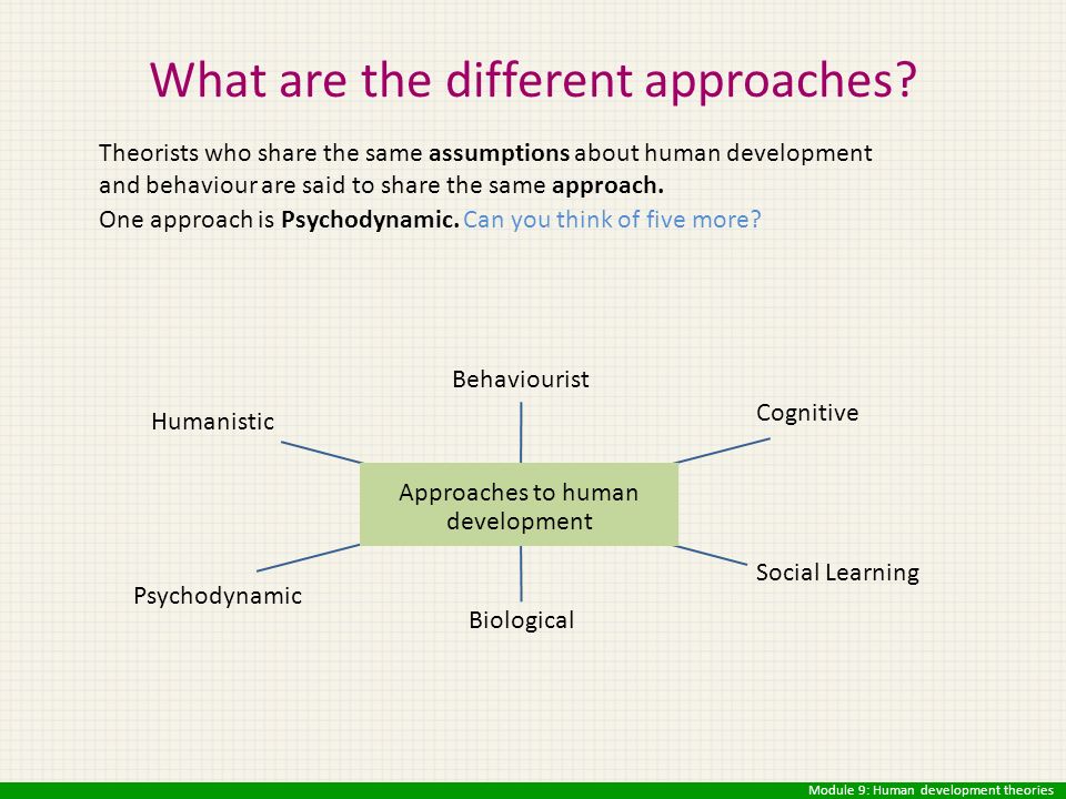 The different theories of human learning